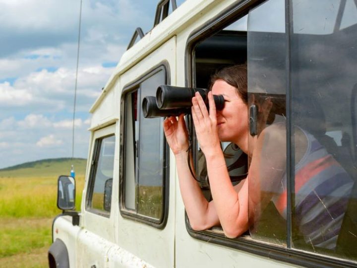 Seeing the Savanna: The Ultimate Guide to Travel Binoculars for Safari