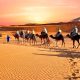 Understanding the Arabian Peninsula’s Climate