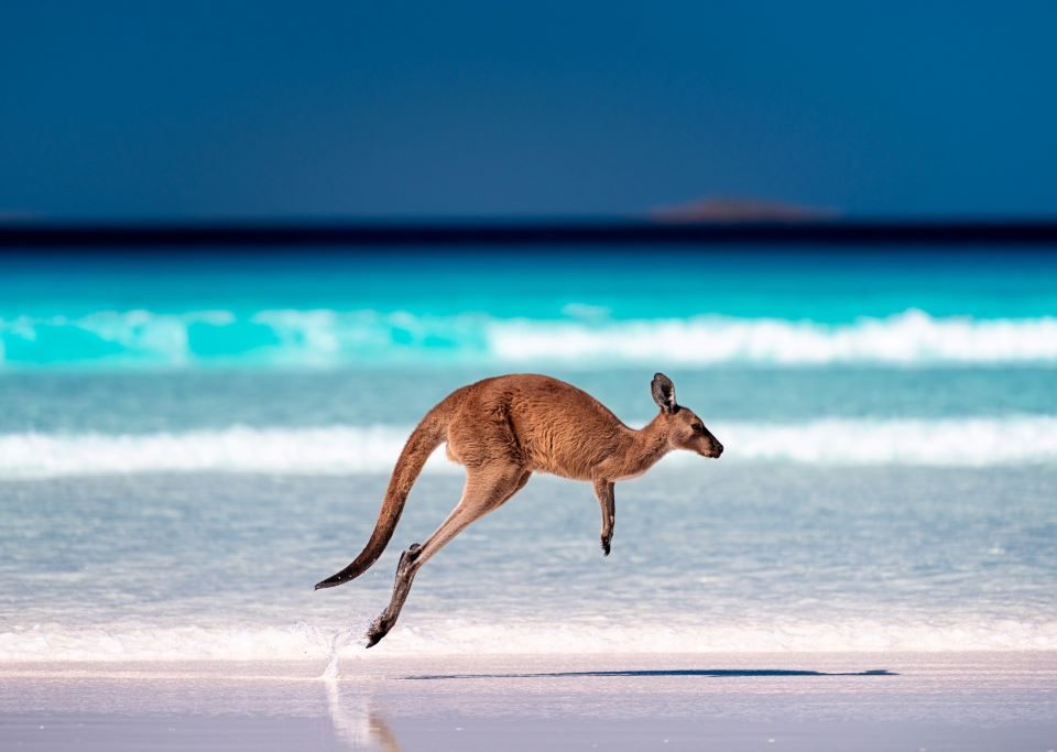 Two Weeks in Australia: What are the must-visit places in Australia for first-time visitors?